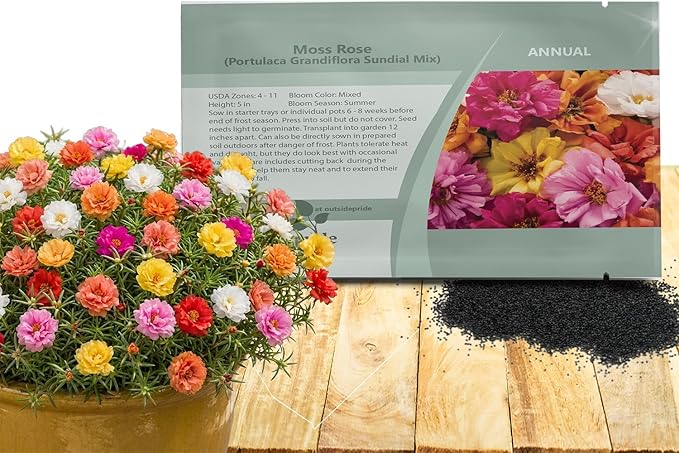Outsidepride Sundial Mixed Moss Rose Seeds - 250 Pcs Annual, Drought & Heat Tolerant, Pollinator Friendly Ground Cover Seeds for Planting w/Vibrant Blooms & Succulent Foliage, Ideal for Xeriscaping