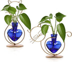 Plant Terrarium Plants Propagation Station Cat Lover Gifts for Women Home Office Decor Cat Desk Accessories