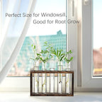 XXXFLOWER Plant Propagation Station,Plant Terrarium Wooden Stand with 5 Test Tubes,Glass Planters for Indoor Plants,Plant Lover Gifts for Women Mom Wife Daughter,Garden Office Room Decoration
