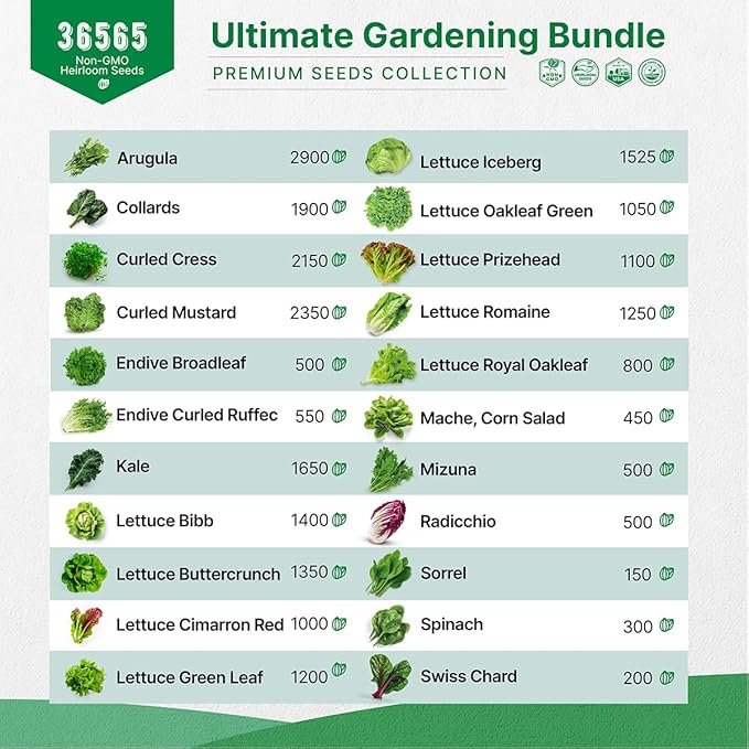 Organo Republic 22 Lettuce & Salad Greens Seeds & 25 Most Popular Herb Seeds Variety Pack Bundle, 36,400+ Non-GMO Heirloom Garden Seeds for Planting Vegetables & Herbs for Indoor & Outdoor Gardening