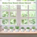 ZINHO Fake Succulent Plant Set 6 PCS Artificial Succulent Plants for Desk Realistic Faux Succulents in Plastic Pots Mini Colorful Succulent Decor for Bedroom Bathroom Office Shelf Decor (Green)