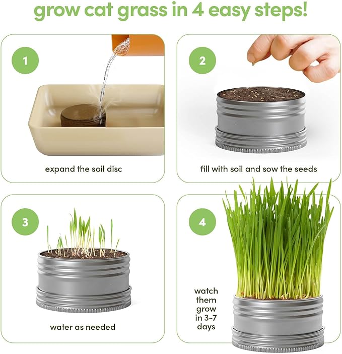 Cat Grass for Indoor Cats Kit - 3 Complete Growing Organic Planter Kits - Grow Your Own Cat Grass - Organic Plant Seeds - Pet Health Supplies Stuff - Gift for Pet Lover