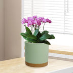 WSMKSZ 5 Pack Cylindrical Flower Pots with 7/6.5/6/5/4 inch, Modern Small Plastic Plant Pots with Drainage Holes & Saucers, Round Planter Pots for Outdoor, Indoor & Office Decor (Green Brown)