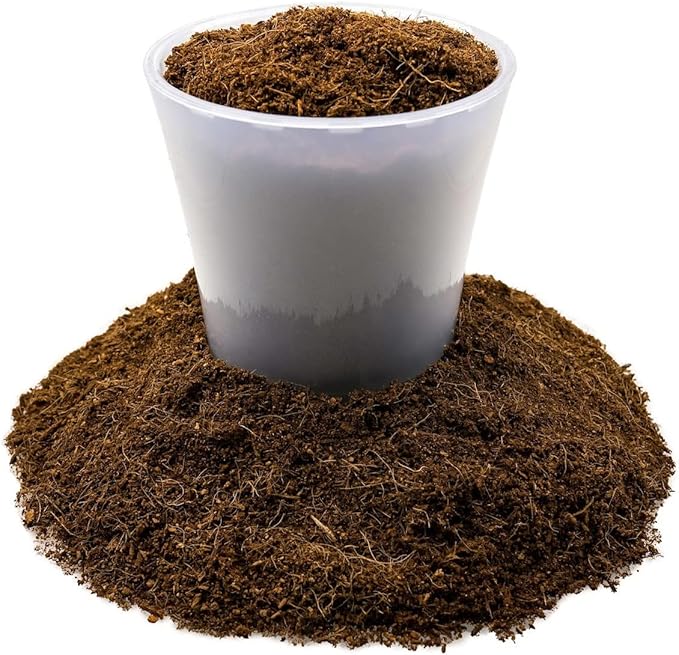 Gardenera Fiddle Leaf Fig House Plant Soil Premium All Purpose Blend - Peat Moss, New Zealand Bark, Coco Chips and Fibers, Perlite - 2 Quart Bag