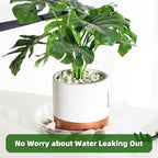 TRUEDAYS 15 Pack(6 inch/8inch/10inch) Clear Plant Saucers Flower Pot Tray Excellent for Indoor & Outdoor Plants