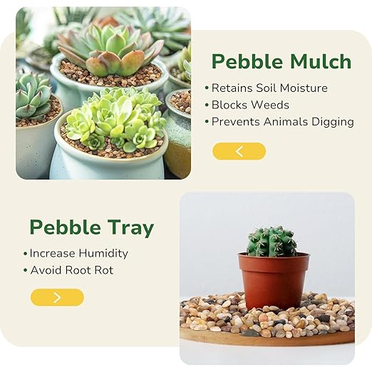 GreatBuddy 5-lb Decorative Rocks for Plants, 1/5" Pea Gravel for Fish Tanks, Aquariums, Terrarium, Drainage Pebbles for Potted Plants, Succulents, Garden Landscaping, Crafts, Indoor&Outdoor