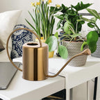 Yowon 1/2 Gallon 68oz Long Spout Stainless Steel Gold Colored Watering Can for Indoor Plant Watering or Outdoor Gardening with 2 Removable Spray Spout for Flowers