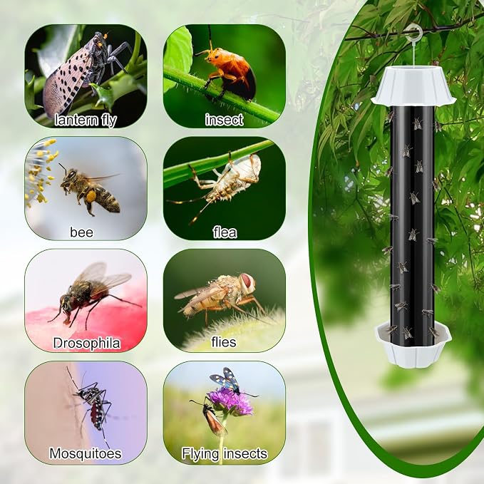 Qualirey Fly Traps for Indoor Outdoor Hanging Fruit Fly Stick Trap Sticky Mosquito for Home Insect 10 x 2.5 Inches(Black,8 Pcs)