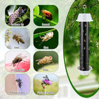 Qualirey Fly Traps for Indoor Outdoor Hanging Fruit Fly Stick Trap Sticky Mosquito for Home Insect 10 x 2.5 Inches(Black,8 Pcs)