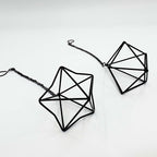 6 Pack Hanging Metal Air Plant Holders with Chain, Black Geometric Tillandsia Air Plant Hanger Cages, 2 Styles Mini Iron Air Plants Live Holders for Home Office Garden Decor
