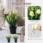3 Pack Fake Small Plant in Pot Artificial Potted Flowers for Home Decor Fake Flower Plant Greenery Mini Faux Plant for Indoor Bedroom Living Room Office Shelf Bathroom Farmhouse Decor (Type 3)
