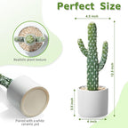 Artificial Cactus Small Fake Succulents Ceramic Plant for Home, Office, Kitchen, Living Room, Desk, Shelf, and Indoor Dec-2packs