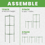 Tomato Cage - Large Trellis Stakes and Plant Support Structures for Vegetables and Climbing Plants - Tall Tomato Cages for Garden, Pots, Raised Garden Bed Outdoor Supplies (1 Pack - Up to 48")