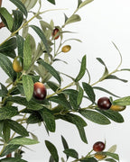 6FT Artificial Olive Tree - Indoor Tall Faux Olive Trees with Basket&3PCS 18Inch Olive Branches, Large Fake Olive Silk Tree Realistic Olive Plants for Home Decor Office Living
