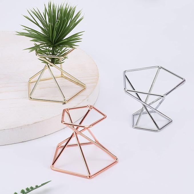 6 PCS Geometric Air Plant Holder Airplants Rack Metal Plants Stand, Airplant Stand Container Tillandsia Stainless Steel Display Racks, Wire Metal Plants Stand Planter Shelves