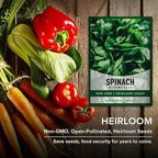 Gardeners Basics, Bloomsdale Spinach Seeds for Planting is A Great Heirloom, Non-GMO Vegetable Variety- Great for Indoor, Outdoor and Hydroponics Gardening