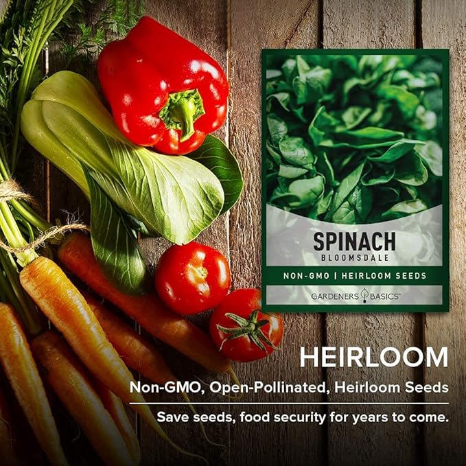 Gardeners Basics, Bloomsdale Spinach Seeds for Planting is A Great Heirloom, Non-GMO Vegetable Variety- Great for Indoor, Outdoor and Hydroponics Gardening