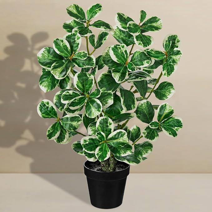 20" Artificial Rubber Tree Plant in Black Pot, Faux Ficus Tree Plant Potted with Cream White Edge Leaves, Fake Greenery Plant for Home Office Tropical Decor