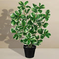 20" Artificial Rubber Tree Plant in Black Pot, Faux Ficus Tree Plant Potted with Cream White Edge Leaves, Fake Greenery Plant for Home Office Tropical Decor