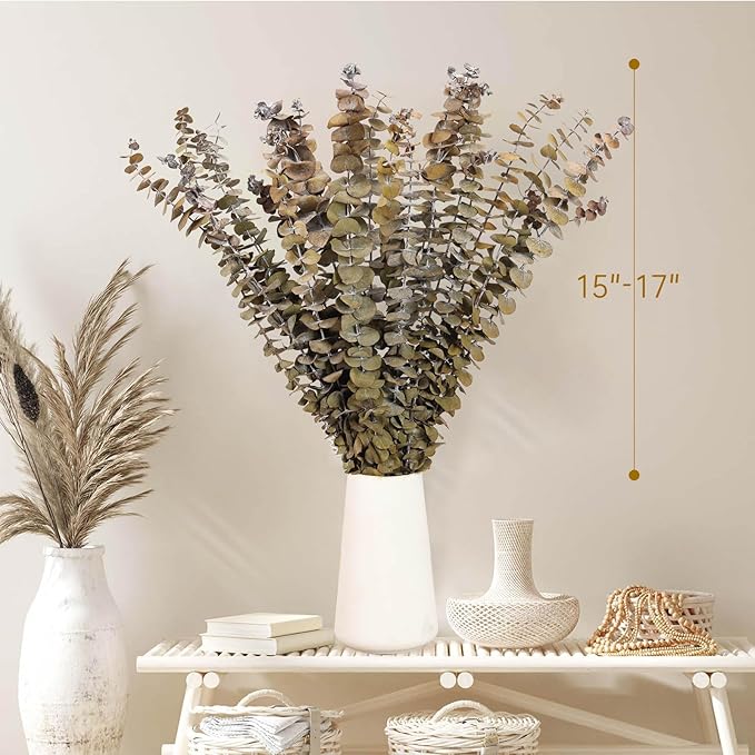 Tavkite 16 Pcs Dried Eucalyptus Stems, 17'' Natural Fresh Eucalyptus Leaves Branches Hanging for Shower, Preserved Real Yellow Plant Live for Home SPA Wall Bathroom Wedding Party Vase Decor