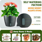 Self Watering Pots for Indoor Plants, 6-Pack 5'' Self Watering Planter with Drainage Holes, Small African Violet Pots with Water Indicator, Clear Wick Orchid Pot, Grey Gold