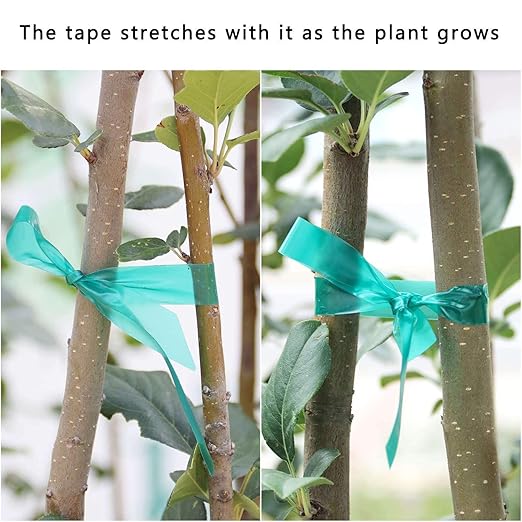 Easytle Stretch Tie Tape Roll, 1/2" 150ft Garden Tie Tape, Thick Sturdy Plant Ribbon Garden Green Vinyl Stake Gardening Tools for Indoor Outdoor Patio Plant Use (10 Pack)