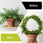 2 Pcs Trellis for Climbing Plants Indoor 14.5" Hoya Trellis Set Small Plant Support Stakes Round Climbing Plant Supports Flower Houseplant Hoya Support for Garden Stem Vines Potted Plants