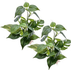 M2cbridge Fish Tank Plastic Soft Grass Artificial Betta Water Plants Decoration Goldfish Hide 12" (Tall Anubias 2pcs)