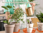 SupKing 6 Pack Plant Saucers Drip Tray,6 Inch Heavy Sturdy Plastic Flower Pot Saucers for Indoor, Plastic Planter Water Tray for Plant Pots Liners (6''-Terracotta)