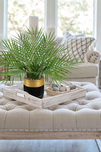 Briful Fake Plant 15.7’’ Artificial Palm Plant in Gold Black Pot Real Touch Faux Tropical Palm Tree Houseplant for Home Indoor Living Room Tabletop Balcony Decorations