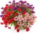 Artificial Flowers for Outdoors, 8 Bundles Faux Silk Spring Flowers for Outside for Planter Front Door Porch Yard Patio Window Box Home Decor (Colour 05-(Purple+Pink+Rose red))