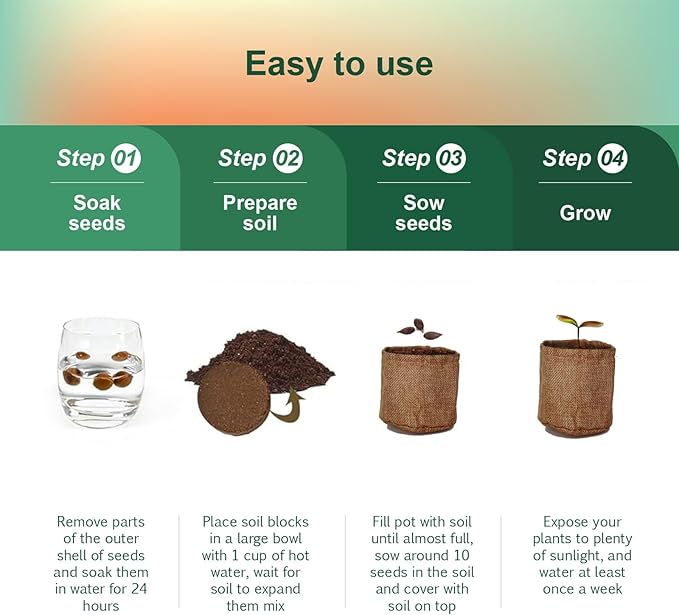5 Pack Bonsai Tree Kit with Complete Tools, 5X Unique Seeds Bonzai Tree Kits, Indoor Bonsai Starter Kit with Wooden Box, Perfect Christmas Garden Gift for Mom, Men, Women, Plant Lover
