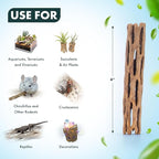 SubstrateSource Natural Cholla Wood - Driftwood for Aquariums, Air Plant Base, Hermit Crab and Freshwater Shrimp Hideout, Fish Tank Decoration, Chinchilla Chews, Reptile Habitat Wood - 4 Inch, 3pc