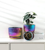 Ton Sin Flower Pots, Purple Ceramic Plant Pots Set of 3,Small Glazed Succulent Pots with Drainage Hole,Cactus Planter with Saucer,Outdoor Garden Pots (Colorful Gold)