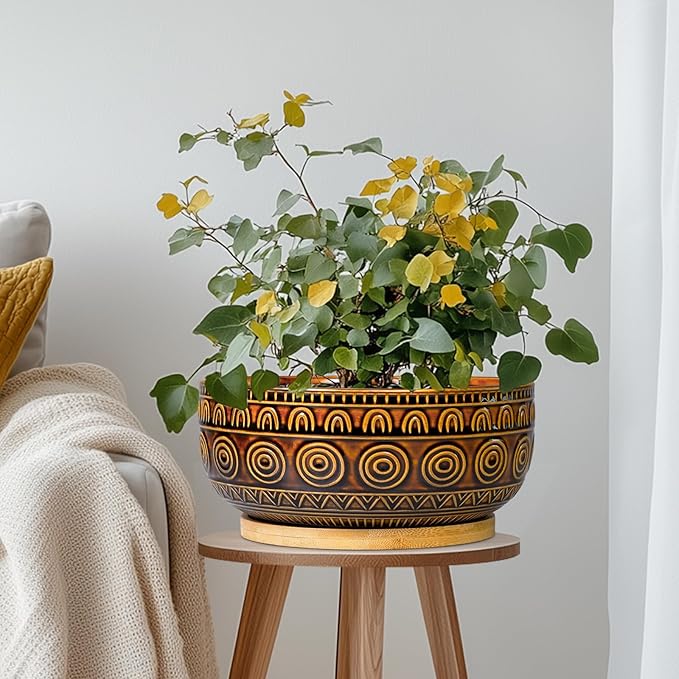 Eightpot Bonsai Pots 8 Inch - Ceramic Succulent Planters for Indoor Plants, Shallow Plant Pots with Drainage Hole and Saucer, Boho Round Planter Bowl, Office Decor, Brown
