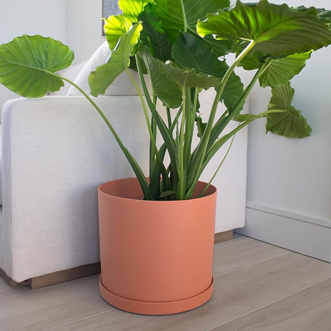 Bloem Mathers Round Planter with Saucer Tray: 12" - Terra Cotta - Modern Design, Durable Plastic Pot, Removable Saucer, for Indoor & Outdoor Use, Gardening, 5.8 Gallon Capacity