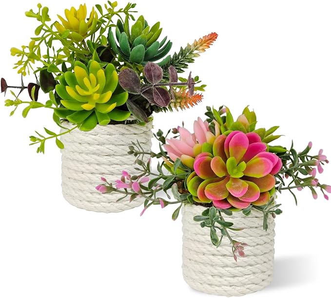 Set of 2 Fake Succulents Plants Artificial Small Succulent Plants Potted for Home Decor Indoor Table Living Room Bedroom Bathroom Shelf Women Office Desk Accessories Decoration (Green)
