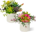 Set of 2 Fake Succulents Plants Artificial Small Succulent Plants Potted for Home Decor Indoor Table Living Room Bedroom Bathroom Shelf Women Office Desk Accessories Decoration (Green)