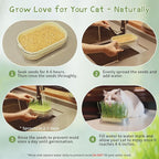 Cat Grass for Indoor Cats with 5Pack Non GMO Seeds, Organic Grass Growing Kit, Soil-Free Planter, Perfect for Beginners, Ideal Birthday Gift for Cat Lovers