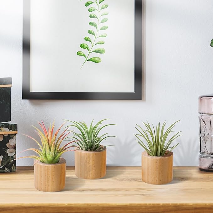 Bigmeta 3 Pcs Wood Air Plant Holder, 1.4" Rustic Style Airplant Display Stands for Women Gifts