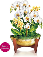 Freshcut Paper Pop Up Cards, Serenity Orchid, 12 Inch Life Sized Forever Flower Bouquet 3D Popup Greeting Card, Birthday Cards, Get Well Gifts, Blank Notecard & Envelope