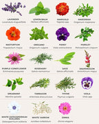 35 Tactiko Edible Flower & Herb Seeds Kit Variety - USA Grown Heirloom Non-GMO Open-Pollinated Seeds for Planting - Indoor Outdoor Gardening - Survival Long-Term Storage - Resealable Mylar Bag