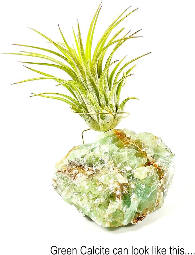 Small Green Calcite Geode Crystal Air Plant Holder Includes Healthy Live Air Plant Gift Box - Zen Plant Decor for Crystal and Plant Lovers