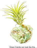 Small Green Calcite Geode Crystal Air Plant Holder Includes Healthy Live Air Plant Gift Box - Zen Plant Decor for Crystal and Plant Lovers