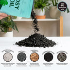 Rosy Soil Indoor Potting Soil for House Plants, 2 x 8 qrt - Organic Potting Soil Mix for Indoor Plants -Enriched w/Root-Boosting Biochar for Foliage Plants, Flowers, Herbs - Pack of 2
