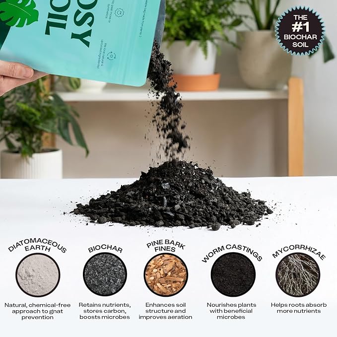Rosy Soil Indoor Potting Soil for House Plants - Organic Potting Soil Mix for Indoor Plants - Enriched w/Root-Boosting Biochar for Foliage Plants, Flowers, Herbs - Peat Free, Less Prone to Gnats - 8qt