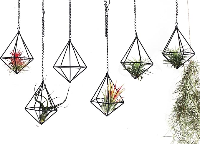 ZOOELAY Air Plants Hanging Holders Indoor Small Metal Airplants Rack Hanger Himmeli Geometric Planter Tillandsia Air Ferns Display with Chains 6 Pcs Black Diamond Shape …