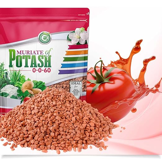 Muriate of Potash 0-0-60 Fertilizer Made in USA - MOP Potassium Plant Food for Indoor/Outdoor Plants, Flower Gardens, Fruit and Vegetable Gardens, Holistic Herbs, Trees and Green Lawns!