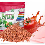 Muriate of Potash 0-0-62 Fertilizer Made in USA - MOP Potassium Plant Food for Indoor/Outdoor Plants, Flower Gardens, Fruit and Vegetable Gardens, Holistic Herbs, Trees and Green Lawns!