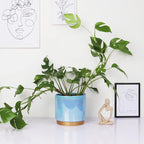Gepege Ceramic Pots for Plants, Rainbow Pearl Glaze Planter with Drainage Hole, 6.0 inch+5.0 Inch+4.0 Inch. Indoor-Outdoor Large Round Succulent Orchid Flower Pot